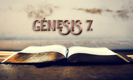 Génesis 7