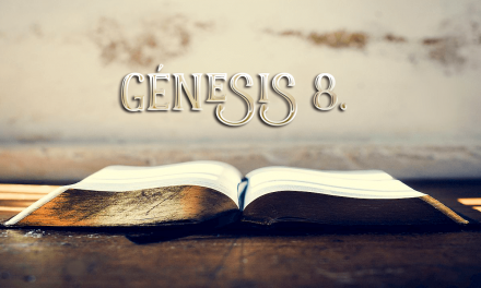 Génesis 8